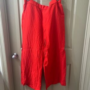 Ann Taylor Bold Red Pants